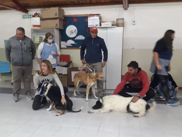 Perros de la Guardería Canina Municipal recorren instituciones educativas