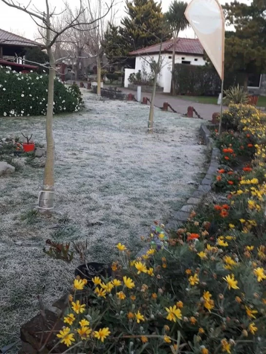 Postales de una nueva “helada” en Necochea y la región