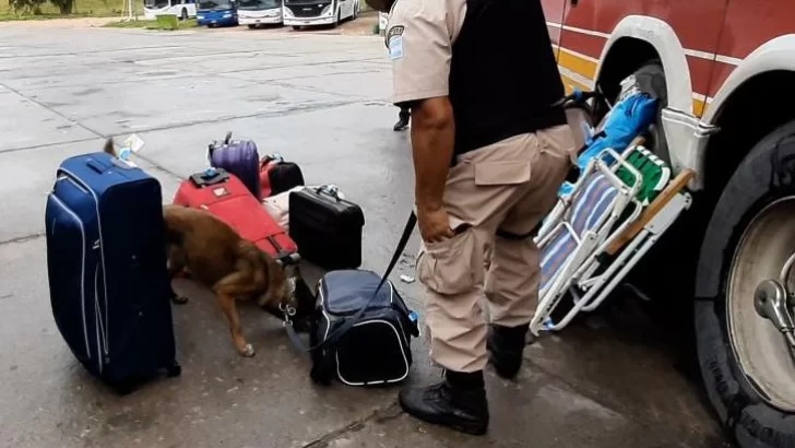 Realizaron operativos en la terminal de ómnibus