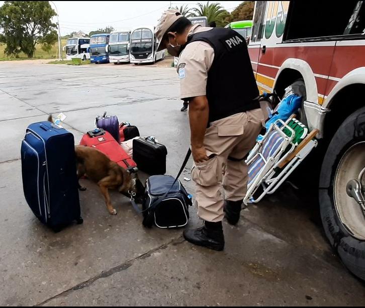 Realizaron operativos en la terminal de ómnibus