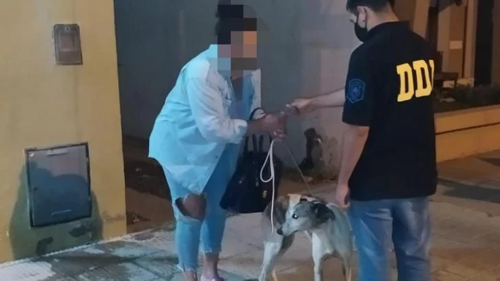 Imputaron penalmente a un hombre que golpeó salvajemente a su perro