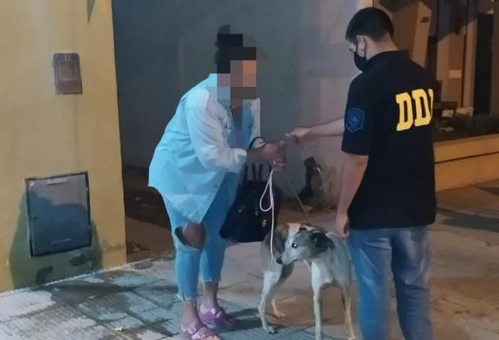 Imputaron penalmente a un hombre que golpeó salvajemente a su perro