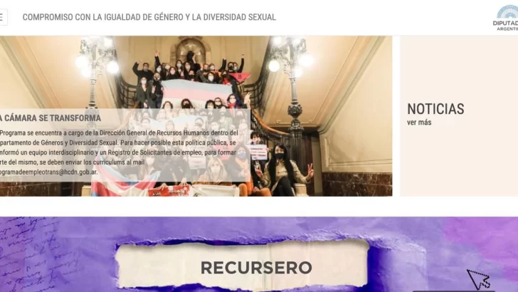 Diputados lanzó un portal con información legislativa de género