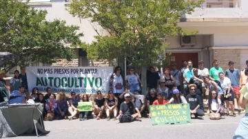 Piden la liberación del joven detenido por cosechar 300 plantas de marihuana