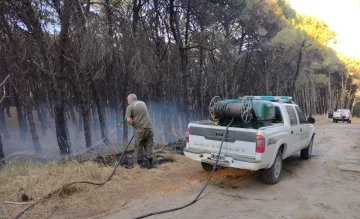 Principio de incendio en el circuito aeróbico del parque Lillo