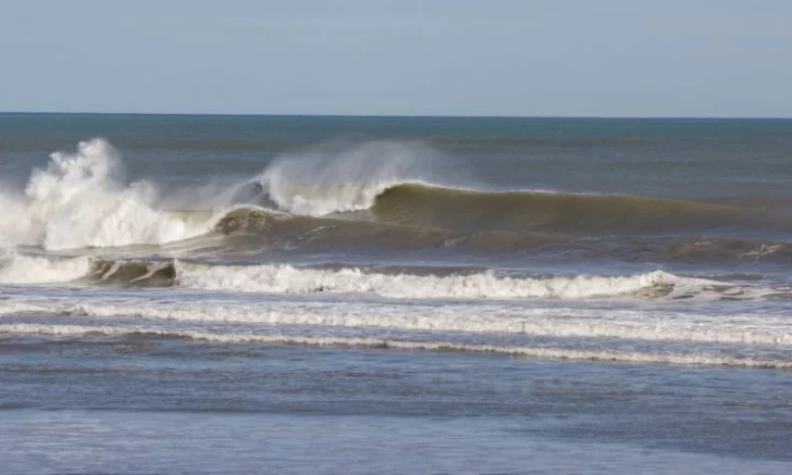 Aporte de ingenieros de la UNLP para generar energía con las olas del mar