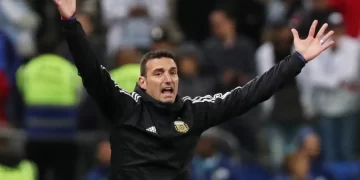 Scaloni, el DT que reinventó a la Selección argentina y buscará alzar la Copa del Mundo