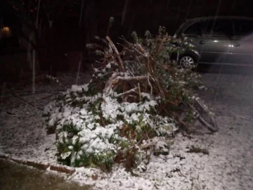 Nevó en Santamarina, Claraz y La Dulce