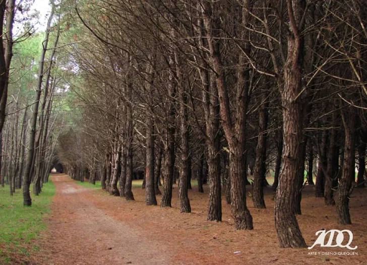 Inician trabajos de limpieza en el Parque Lillo