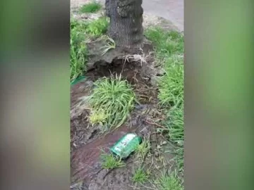 Genera quejas y preocupación una pérdida de agua