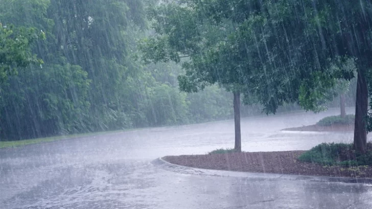 Registro de lluvias en la zona: ¿cuánto cayó en Necochea?