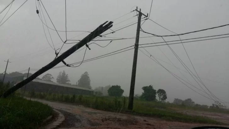 Temporal en la ciudad: viento de más de 74 Km y caída de postes y cables