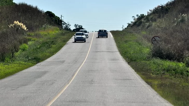 Manejaba borracho por la ruta 88 y se despistó