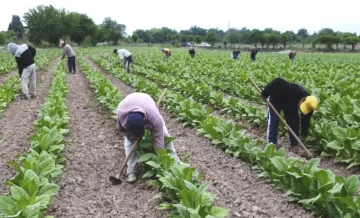 El Renatre pide a los gobiernos provinciales vacunar a todos los trabajadores rurales