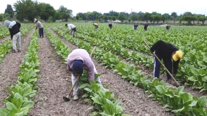 El Renatre pide a los gobiernos provinciales vacunar a todos los trabajadores rurales