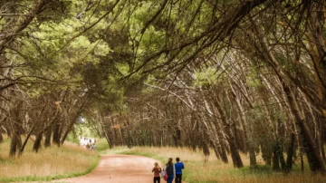 Caminatas recreativas: se habilitaron dos circuitos en el Parque Lillo