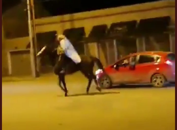 Festejó el triunfo de Argentina a caballo por la Diagonal San Martín