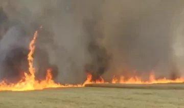 Incendios en campos de Pieres