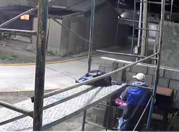 Video: un ladrón se llevó una tira de asado de una parrilla