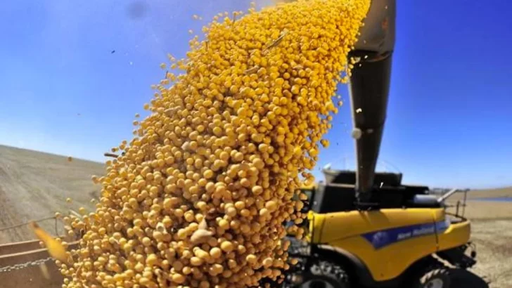 Ya se vendieron 5 millones de toneladas de granos con el nuevo dólar agro e ingresaron más de US$ 1.600 millones
