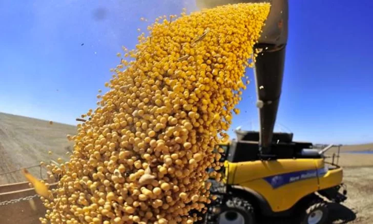 Ya se vendieron 5 millones de toneladas de granos con el nuevo dólar agro e ingresaron más de US$ 1.600 millones