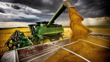 El trigo argentino es el más caro del mundo y queda poco saldo exportable
