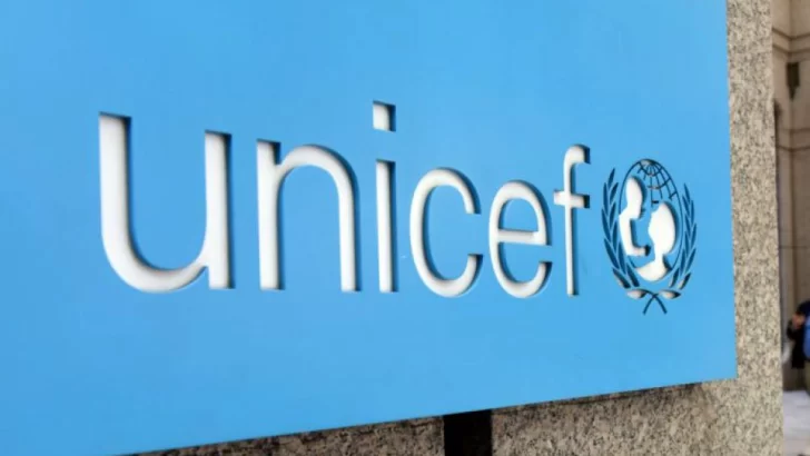 Diputados trabaja con Unicef el Plan de Cooperación Argentina 2021-2025