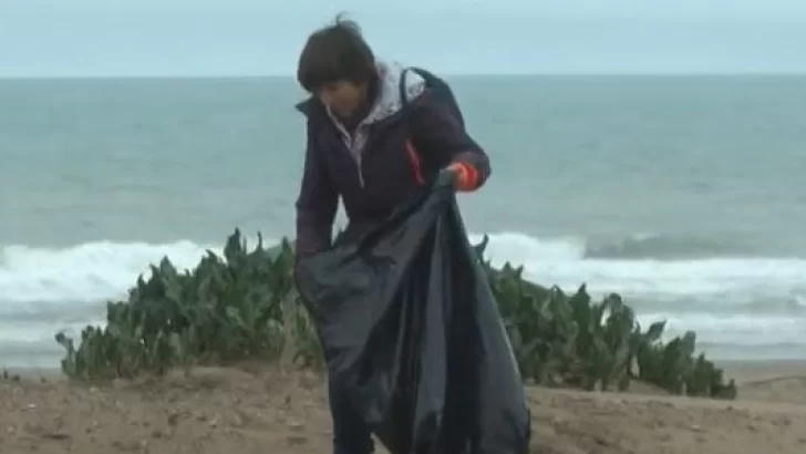 Se juntaron para limpiar la playa