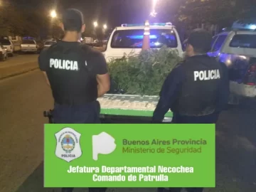 Caminaba con una planta de marihuana y lo vio la policía