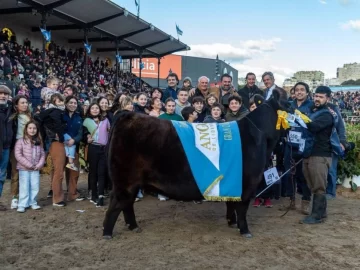 Bravísima, la vaquillona de La Dulce que ganó en la Rural