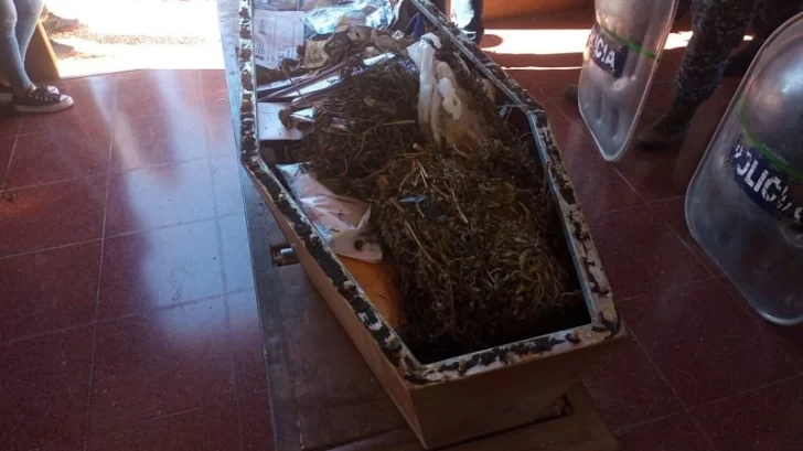 Quemaron 40 kilos de marihuana y 10 de cocaína en un crematorio de Olavarría