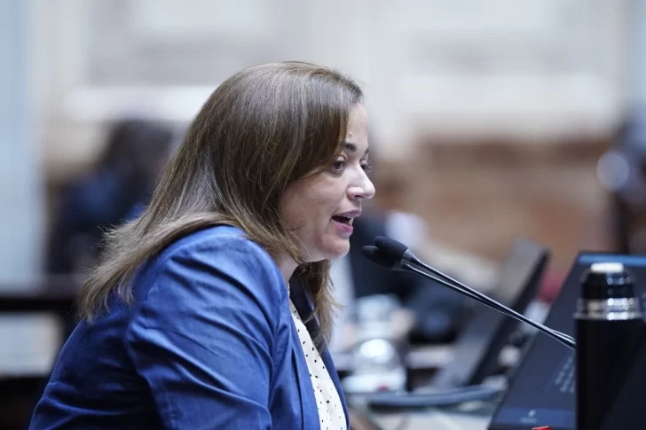 Cecilia Moreau: “los senadores de Juntos por el Cambio no tienen empatía ni responsabilidad política