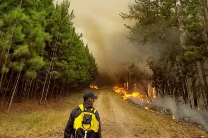 Provincia envía recursos a los incendios de Corrientes