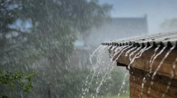 Un miércoles pasado por agua