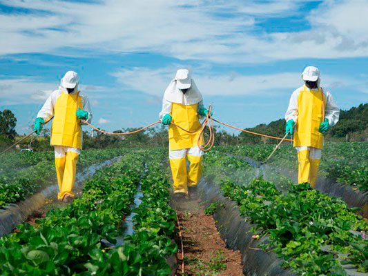 El campo teme faltantes de agroquímicos en medio de las restricciones a la importación