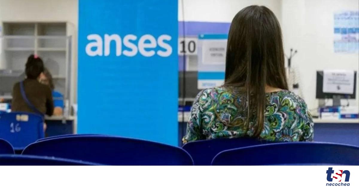 ANSES, Cuándo Cobro: Calendario De Pagos Del Lunes 6 De Noviembre De ...