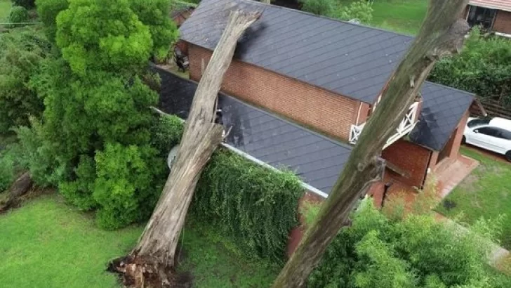 Cayó un árbol sobre una casa