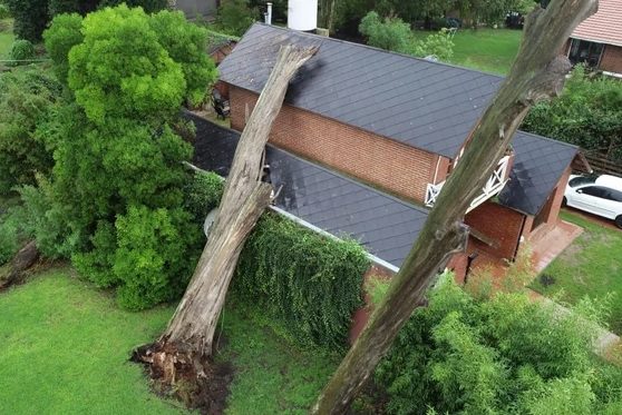 Cayó un árbol sobre una casa