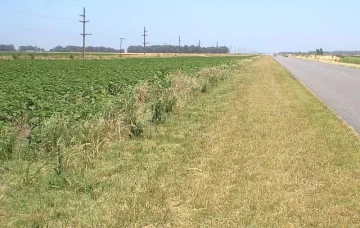 Uso y explotación de banquinas en Lobería