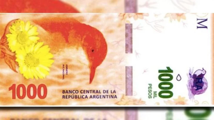 Alerta por la circulación de billetes falsos de $1.000