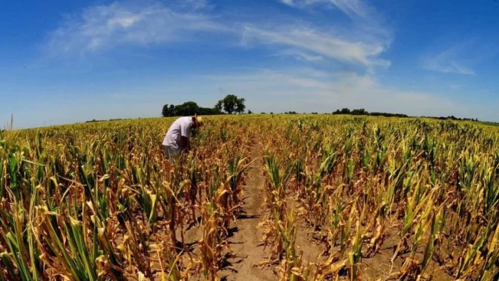 Massa anunció medidas para pequeños productores rurales
