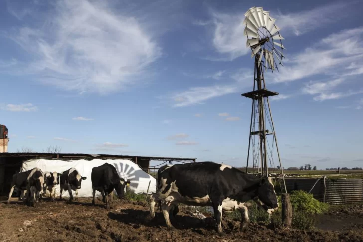 La intensa lluvia detuvo labores de siembra y cosecha en Necochea y en la región