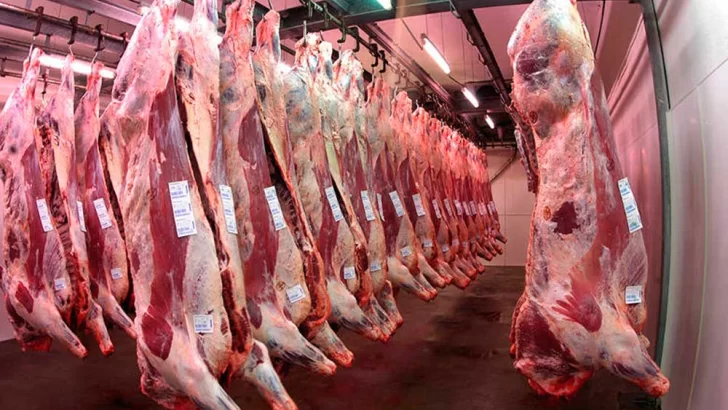 El precio de la carne subió 53,2% desde el cierre de las exportaciones