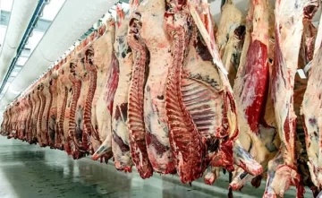 Chau a la media res, se viene el troceo:¿El kilo de carne a $2000?