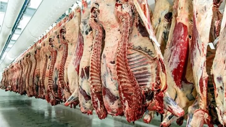 Comienza a regir el nuevo acuerdo por once cortes de carne a precios más económicos