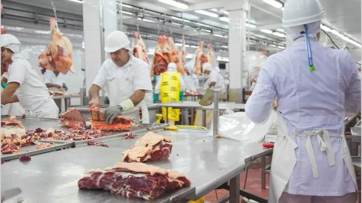 El Gobierno sostendrá el cepo a la carne en 2022 y reduciría un 25% las exportaciones