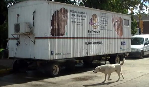 Más de 17 mil castraciones de perros y gatos