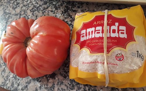 Una familia de Fernández cosechó un tomate gigante