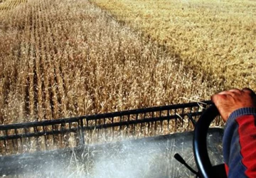 Los núcleos productivos de Buenos Aires sufren ausencia de lluvias en el sur bonaerense