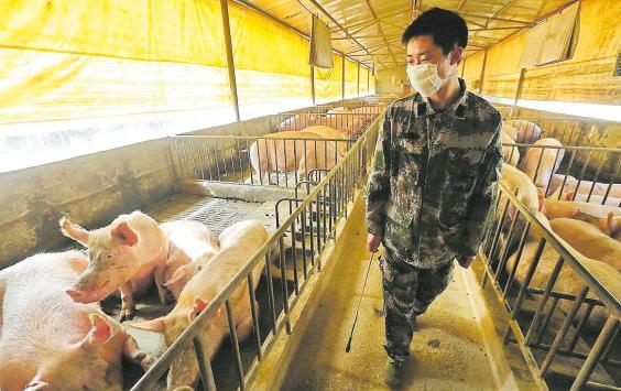 Aseguran que la nueva influenza descubierta en China está muy lejos de ser una pandemia y no se compara al virus al COVID-19